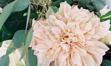 男天秤天蝎座和女巨蟹座一区配对