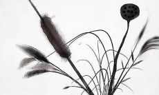 h好听的英文名字女生