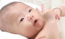 给白猫起好听的名字