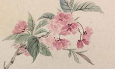 男孩取名虎年宝宝小名