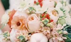 天蝎星座最佳配对