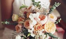 星座百科知识大全