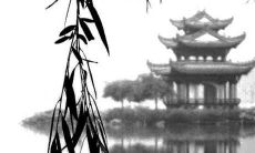 属兔2023年健康运势如何呢