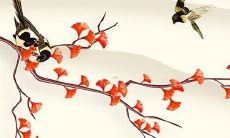 手链本命年兔dior