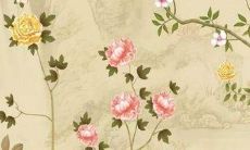 2023年属兔人多大