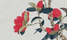 本命年虎年要注意什么佩戴什么女 属虎女本命年戴什么好