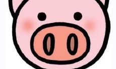 辛亥年属猪人今年运气 辛亥年甲午日柱2023年运势如何看