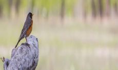 八字十年大运免费测算，八字运程测测知晓