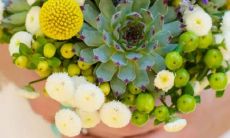 男狮子座二区和女双子座二区配对