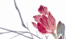 72年出生的50岁属鼠人哪年开始发财 哪一年财运最旺？