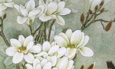 属猴2023考什么大学