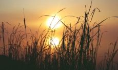 梦见坐飞机迟到没赶上是什么意思 梦见坐飞机出故障但是安全降落