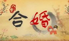 如何进行四柱八字婚配？