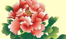 属虎用什么字取名好