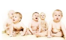 十月出生的男鼠宝宝命好吗？ 性格好吗？