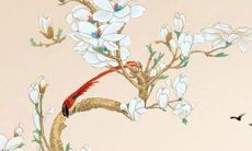 2023年属虎人全年运势