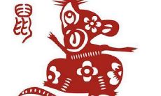 28日出生的鼠宝宝命运如何 勇往直前的人？