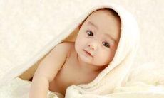 哪一月出生的鼠宝宝命很好？众人仰视出类拔萃