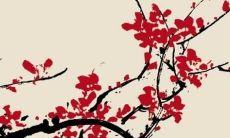 女孩子起名字大全2023年属兔