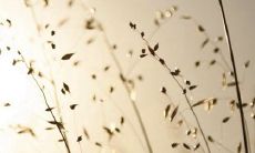 2019年阴历腊月初三能修坟吗,今天时辰吉凶查询！