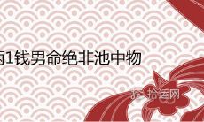 4两1钱男命绝非池中物是真的吗一生总结详解