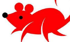 2020年正月廿一情人节出生男孩命好吗,属于什么星座？