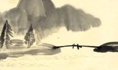 水虎的人在2022年运势