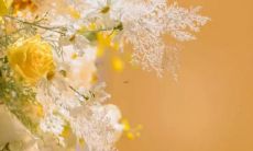 摩羯和其他星座的关系