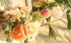 男处女天秤座和女射手摩羯座配对