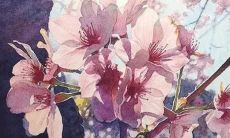 1972年属鼠在2022年会离婚吗 72年属鼠人2022年如何提升婚姻运势