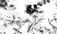 2023年属龙适合戴什么属相