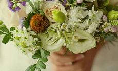 男双鱼座三区和女处女座二区配对