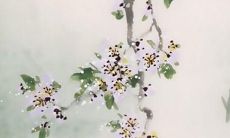 91年羊在2022年运势如何