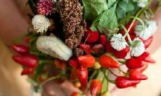 男天蝎座一区和女天秤座三区配对