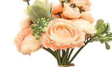 水瓶座女生和狮子座男生做夫妻好不好