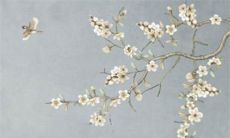 看透不说透的星座