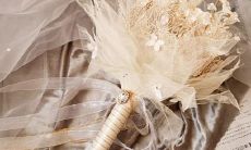 哪个星座是巨乳