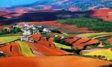 土命属虎的人佩戴什么好？属虎土命是什么命？