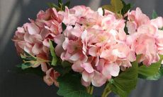 男巨蟹座二区和女巨蟹座二区配对