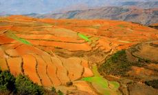 土命巳时出生的女孩命运好不好？姻缘状况如何？