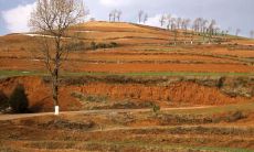 路旁土命的人适合什么颜色？忌讳什么颜色？