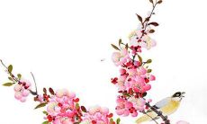 97属牛人2022年运势特别好