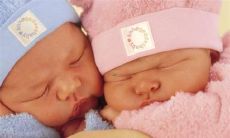 好听的关于樱花的名字