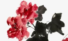 赵行的女孩子名字