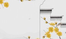 女孩名字有禹字好吗