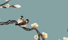 1995年出生的猪在2022年运势