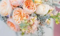 男处女天秤座和女双子座二区配对