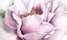 女孩五行缺金有什么名字