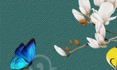 六十岁属兔本命年