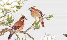 74年生肖虎女2023